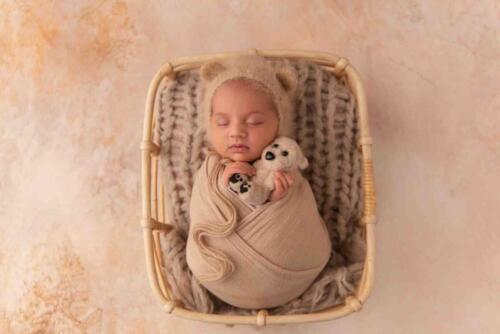 Boho Basket  Teddy