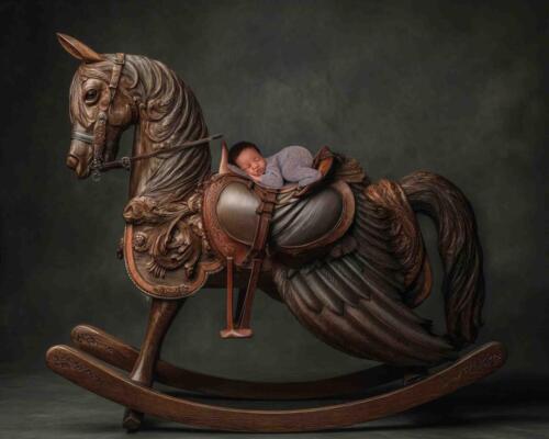 Grey Horse