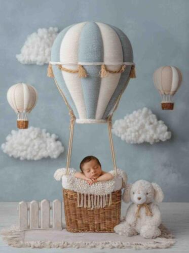 Hot Air Balloon