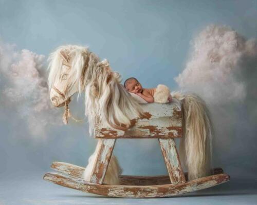 Little Horse Rider