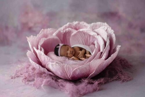 Princess in Pink Flower