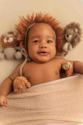 Roaaaarrrr Lion