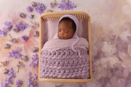 Shades of Lilac