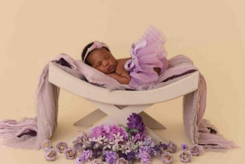 Shades of Purple