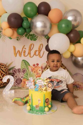 Wild 2